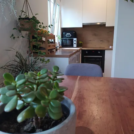 M&m アパート ロヴィンスコ・セロ