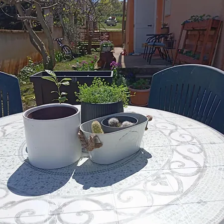 M&m Ровиньско село