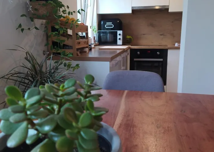 M&m Apartmán Rovinjsko Selo